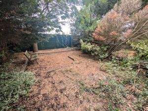 Photo 7- click for photo gallery